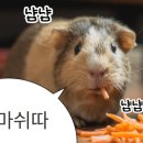 미아리우동집부평