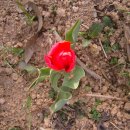 다윗농장 이미지