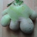 반송2동-16 이미지