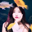 장포토스튜디오