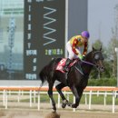 초이스 - 강북구 한천로139길 7-5 | 초이스
