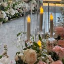 다다헤어클럽 | 김해 JW웨딩컨벤션센터 2025년 3월 밝은홀 일루미아홀 기록