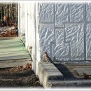 갈대습지공원 이미지