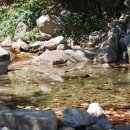 신녕서부초등학교 이미지