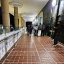 반짝이는 우리역사(삼국시대) | 드디어 가 본 👑[신라금관 권력과 위신]👑금관전시 예약안내 관람후기