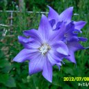 농가월령 이미지