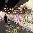 주제로 배우는 역사 2기 | 대구 근교 주말 아이랑 합천 나들이 | 대장경테마파크 200% 즐기기 (ft. 롤미끄럼틀 &amp; 미디어아트...