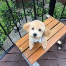 영어 스토리와 아트 이미지