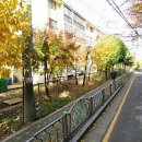 안곡로 22 이미지