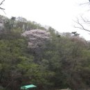 벌터 티스토리