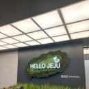 (주)제주동락여행사 | 제주도 패키지 여행 후기 3박4일 허니제주여행사 1일차 2일차 이야기