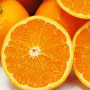 우영농원 이미지