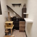 포레스트 캣호텔 이미지