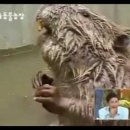 노화태권도 이미지