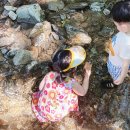 오르다온펜션 이미지