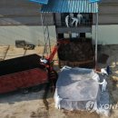 규정농장 이미지