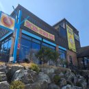 파랑새쭈꾸미와털레기 이미지