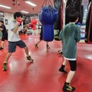 한국체대라학균복싱클럽 이미지