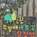 교래생태체험장 | 제주도 붉은오름자연휴양림 - 오름과 숲길을 한 번에 즐기기