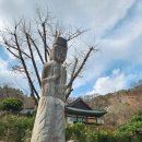 갈산리석불입상 이미지