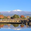 칠십리공원 이미지