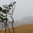 대부해솔길 4코스 이미지