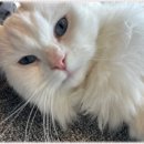 아이조아요양보호소 전남광주점 이미지