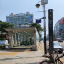 크로커다일상동세이브존
