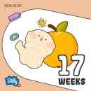 다목적 공영주차장 | [17-20주차]보건소 철분제 수령 그리고 태교여행과 첫 태동👶🏻