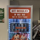 신참떡볶이 대구용산점 | 대구 동성로 신상맛집 신참떡볶이