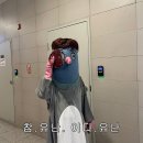똘비