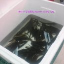신동아명품마트