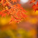 류여성의원 이미지