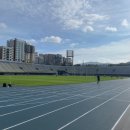성남종합운동장 인조잔디구장 | 천연잔디축구장 성남종합운동장 후기