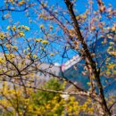 서강대학교 대학원 이미지