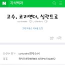 실란트로키친 이미지
