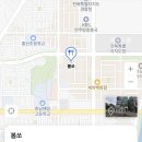 봄쏘