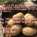 광전농장 이미지