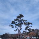 세계화석광물박물관 | 세계화석광물박물관 사진만