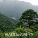 뱀사골민박촌 네이버블로그