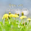 카월드 이미지