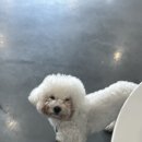 두유 개린이집 이미지