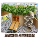 청주문화관 | 청주 아이와 가볼만한곳 음성 오감놀이 새싹체험장 방문후기