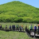 곰배령새소리 이미지