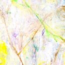 나비,날아오르다 이미지