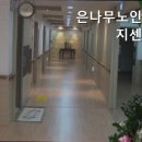 은나무