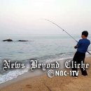 파도의 열창 이미지