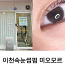 미오모르