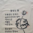 핀스쳐