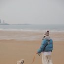 등대카서비스 이미지